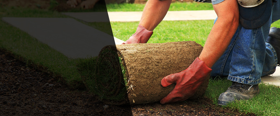 Rembert Landscapers